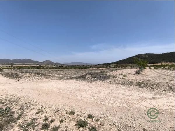 Finca agrícola de 1,5 ha en venta en Monovar - monover, Alicante