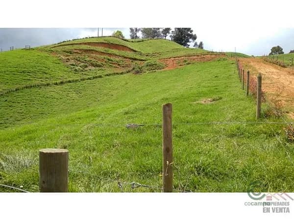 Terreno urbano de 0,1864 ha en venta en Antioquia