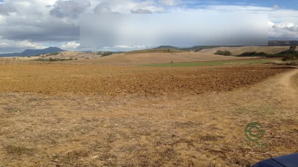 Finca agrícola de 12 ha en venta en Jimena de la frontera, Cadiz