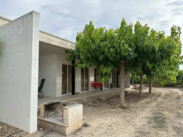 Finca rústica de 2,4 ha en venta en San miguel de salinas, Alicante
