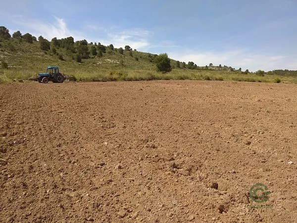 Finca agrícola de 50 ha en venta en Yecla, Murcia