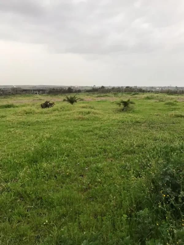 Finca rústica de 0,39 ha en venta en Bollullos par del condado, Huelva