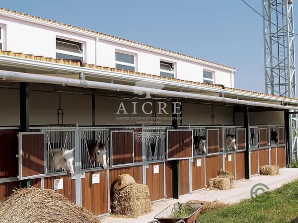 Finca rústica de 65 ha en venta en Aljustrel, Beja