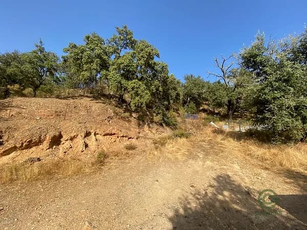 Finca de recreo de 12 ha en venta en Huelva