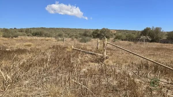 Terreno urbano de 1,8 ha en venta en Montuiri, Islas baleares
