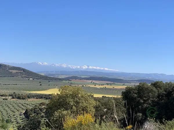 Finca agrícola de 321 ha en venta en Jaén