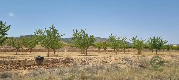Finca agrícola de 1,386 ha en venta en Yecla, Murcia
