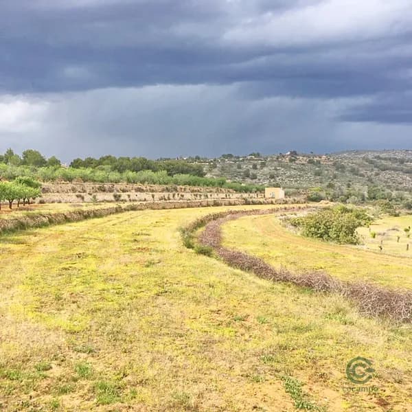 Finca agrícola de 1,33 ha en venta en Benissa, Alicante