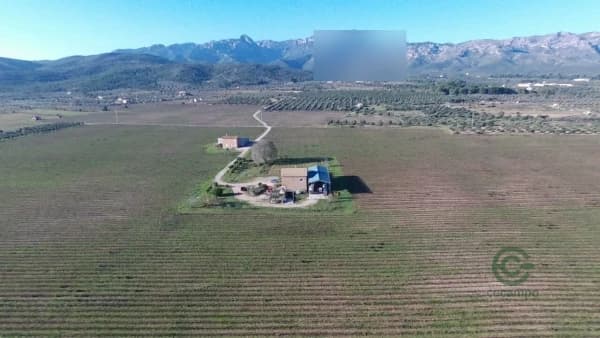Finca agrícola de 60 ha en venta en El perello, Tarragona