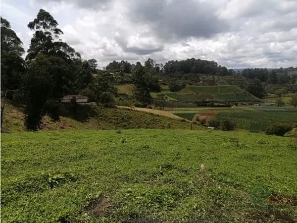 Finca agrícola de 0,3331 ha en venta en Antioquia