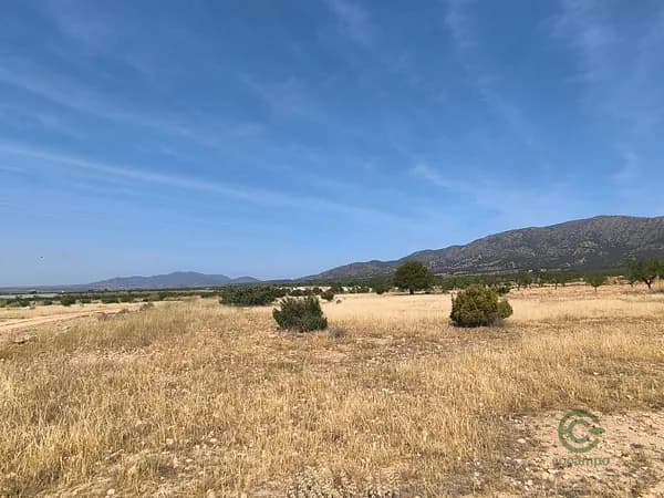 Finca rústica de 1,25 ha en venta en Monovar, Alicante
