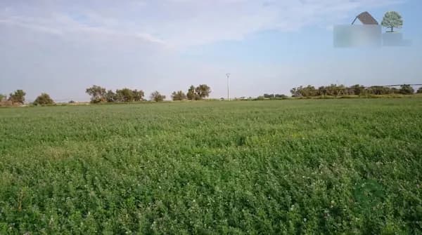 Finca rústica de 565 ha en venta en Toledo