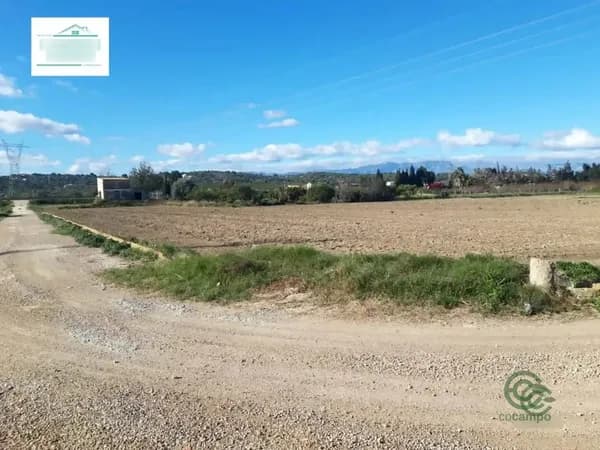 Finca agrícola de 0,87 ha en venta en Amposta, Tarragona