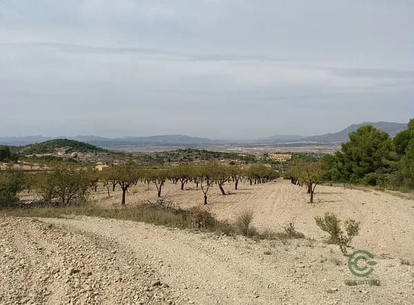 Finca agrícola de 0,502 ha en venta en Abanilla, Murcia