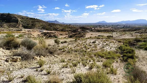 Finca rústica de 0,18 ha en venta en Murcia