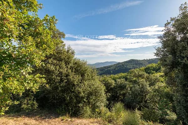 Finca rústica de 50 ha en venta en Angles, Girona