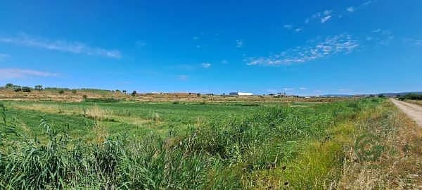 Finca rústica de 0,49 ha en venta en Sádaba, Zaragoza