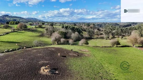Finca agrícola de 1,5656 ha en venta en Villaviciosa, Asturias