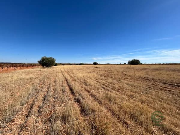 Finca rústica de 1,6897 ha en venta en Ciudad real