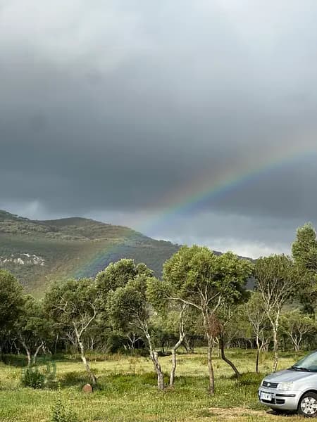 Finca rústica de 3 ha en venta en Cádiz