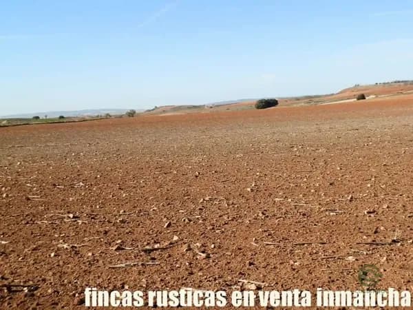 Finca agrícola de 77 ha en venta en Cuenca