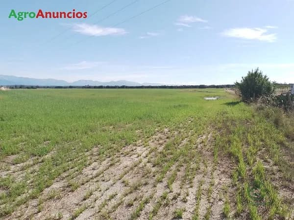 Finca agrícola de 19,82 ha en venta en Toledo