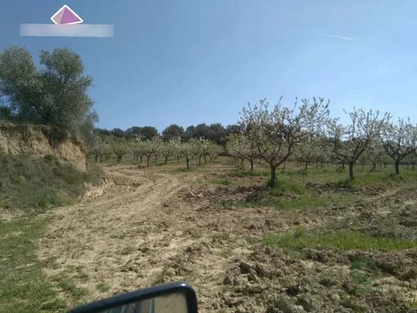 Finca agrícola de 1,9 ha en venta en Cregenzan, Huesca