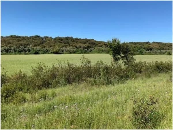 Finca rústica de 200 ha en venta en Codosera (la), Badajoz