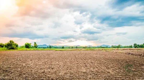 Finca agrícola de 16 ha en venta en Murcia