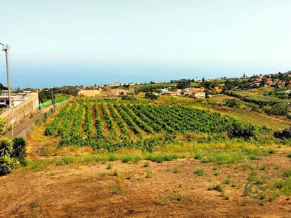 Finca agrícola de 1,07 ha en venta en Santa cruz de tenerife