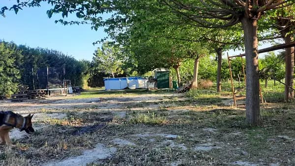 Finca rústica de 0,2386 ha en venta en Molina de segura, Murcia