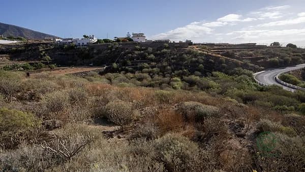 Finca agrícola de 0,676 ha en venta en Candelaria, Santa cruz de tenerife