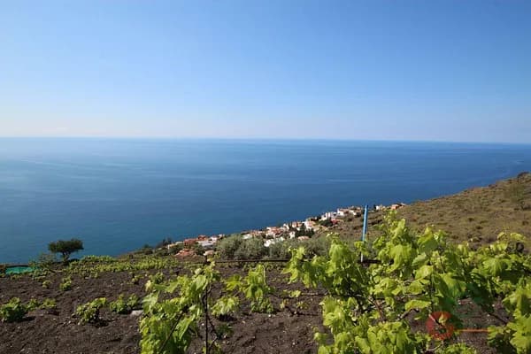 Finca rústica de 1 ha en venta en Salobreña, Granada