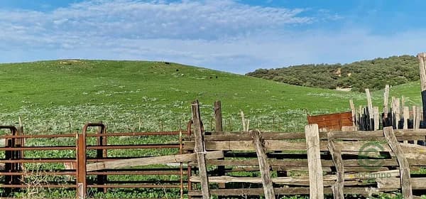 Finca rústica de 172 ha en venta en Cádiz