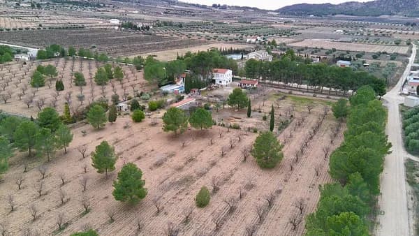 Finca rústica de 3,43 ha en venta en Murcia