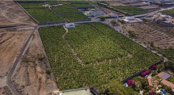 Agricultural property of 2,5455 ha for sale in Tenerife