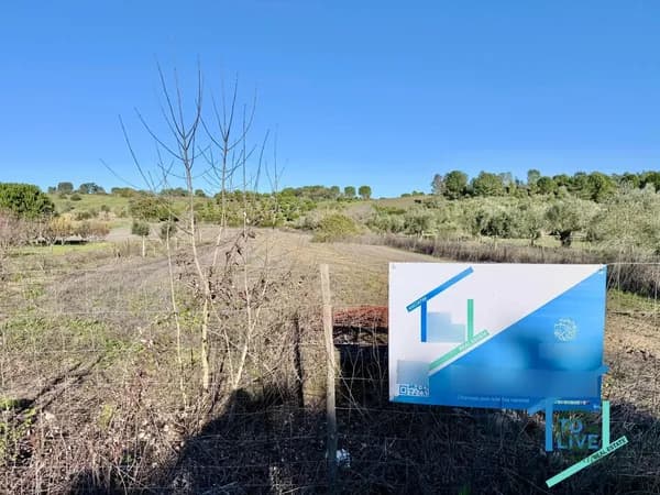 Finca rústica de 0,372 ha en venta en Tomar, Santarém