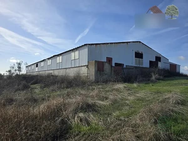 Finca ganadera de 4,5 ha en venta en