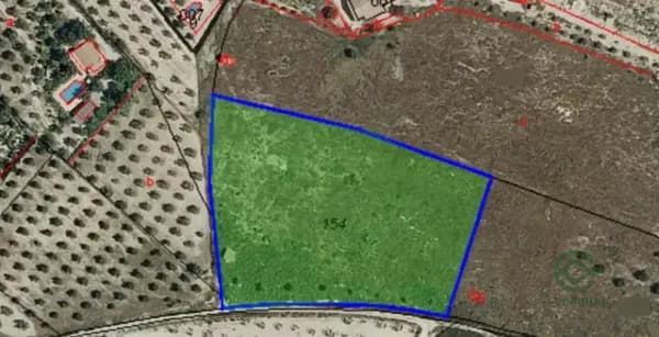 Finca rústica de 1,01 ha en venta en Salinas, Alicante