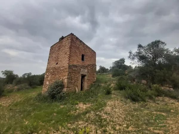 Finca agrícola de 2,9 ha en venta en Llardecans, Lleida