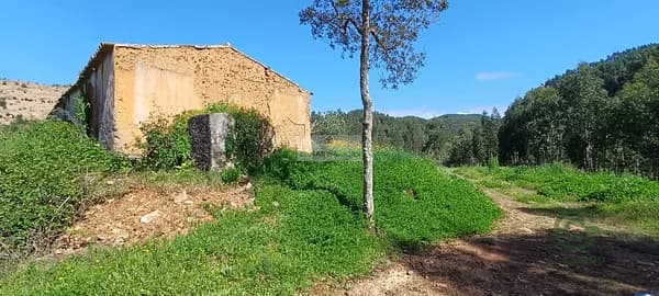 Finca rústica de 40,012 ha en venta en Aljezur, Algarve