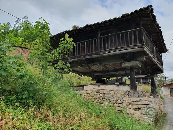 Finca rústica de 0,075 ha en venta en Grado, Asturias