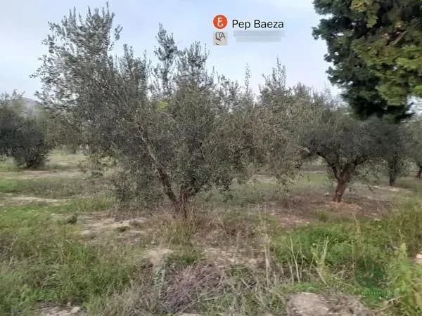 Finca agrícola de 0,32 ha en venta en Muro de alcoy, Alicante