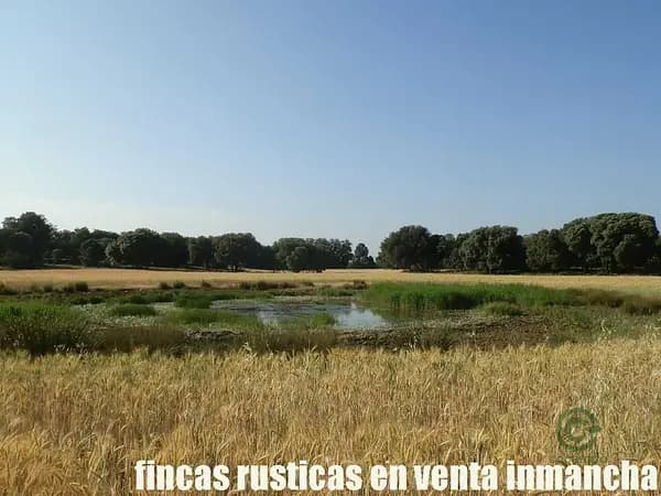 Finca rústica de 475 ha en venta en Albacete