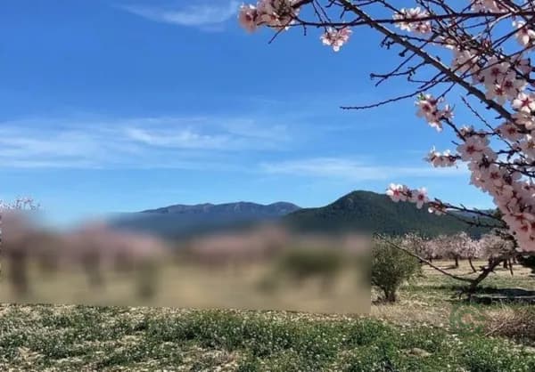 Finca rústica de 21 ha en venta en Almería