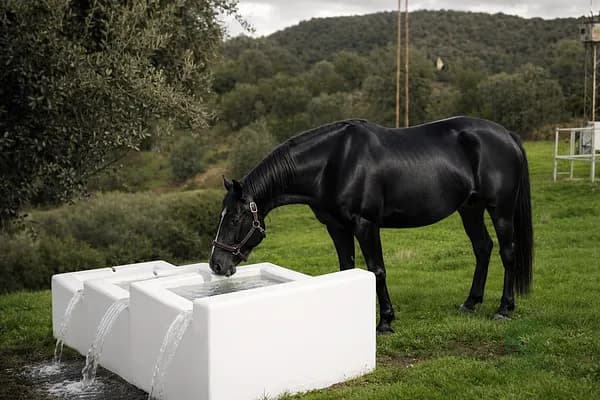 Finca rústica de 70,278 ha en venta en Córdoba