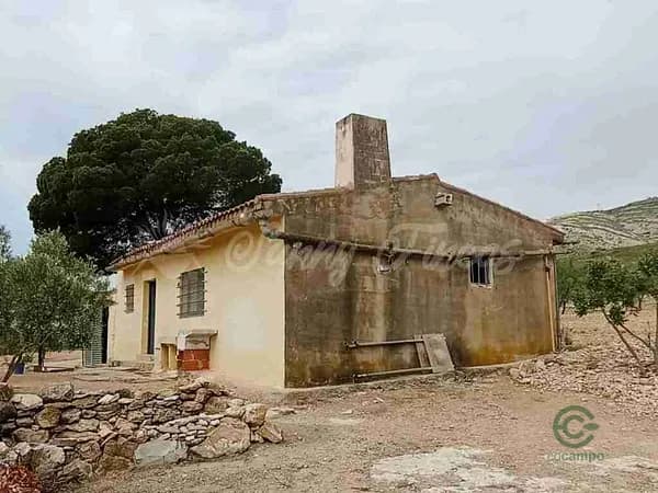 Finca agrícola de 3 ha en venta en Caudete, Albacete
