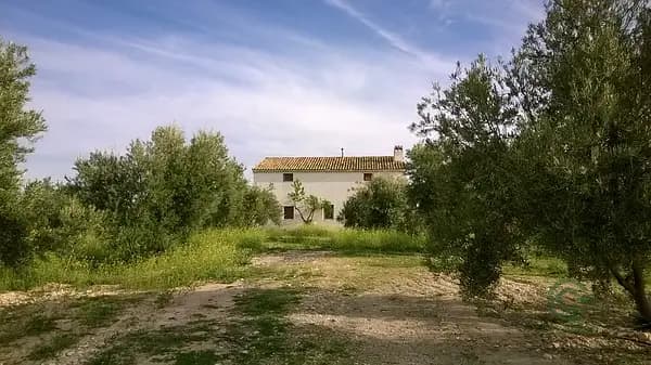Finca agrícola de 10 ha en venta en Jaén