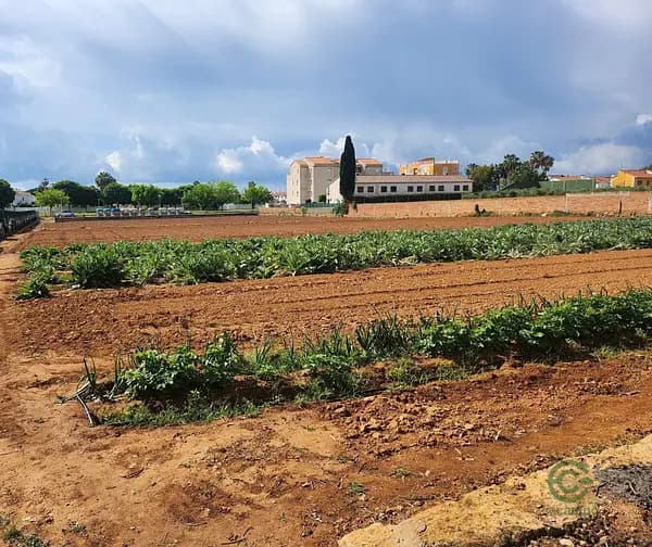 Finca rústica de 0,96 ha en venta en Tarragona