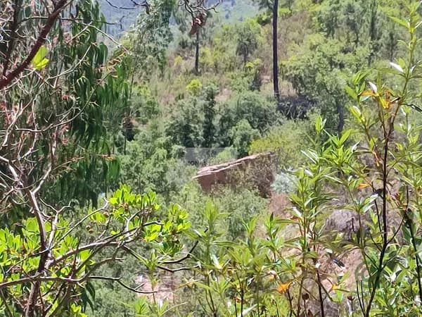 Finca agrícola de 1,288 ha en venta en Monchique, Algarve